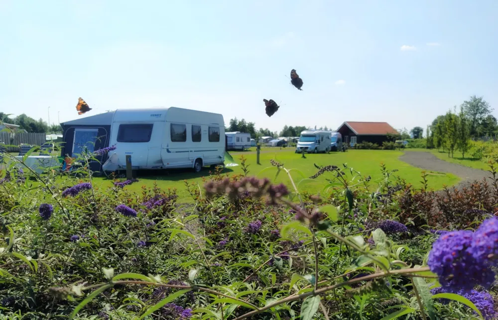 Pitch : tent/caravan or camping-car