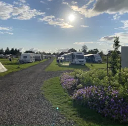 Natuurlijk de Veenhoop - image n°2 - Camping Direct