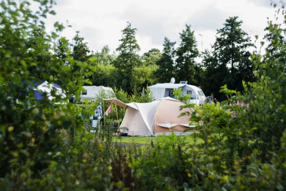 Natuurlijk de Veenhoop - image n°5 - Camping Direct