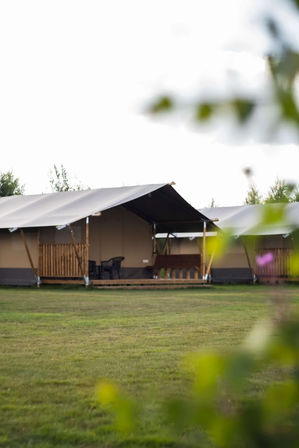 Natuurlijk de Veenhoop