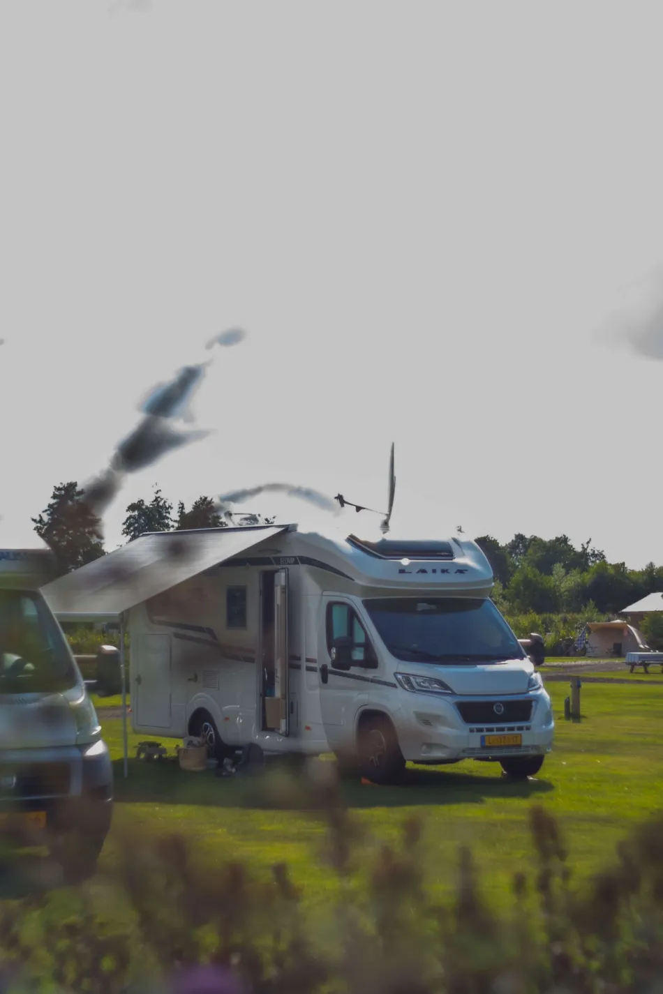 Natuurlijk de Veenhoop