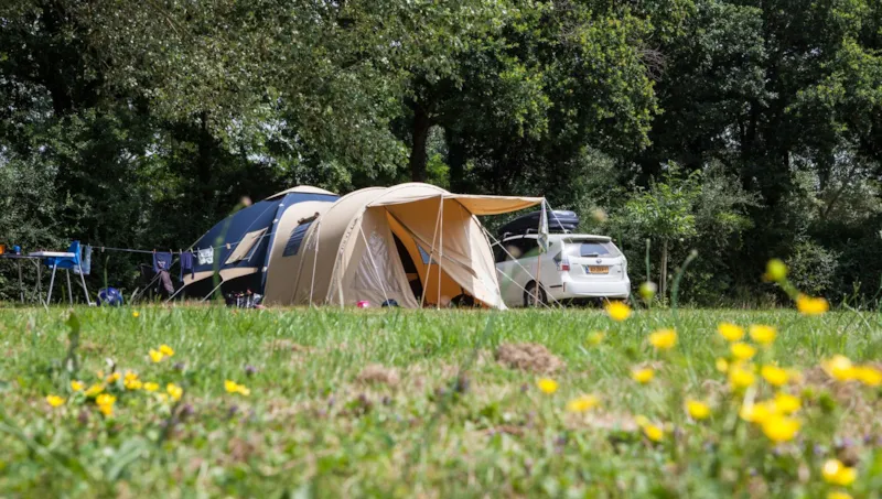 Standard 160-250M² Tente