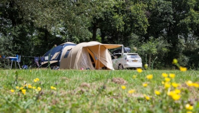 Pitch 160-250m² TENT