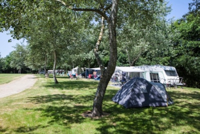 Pitch 160-250m² CARAVAN OR TENT