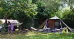 Pitch 100-150M² Tent Pitch 100-150M² Tent