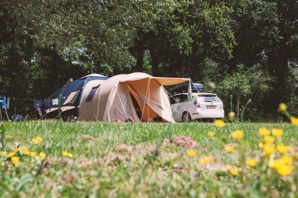 Emplacement - Standard 100-150M² Tente - Camping Village de la Guyonnière