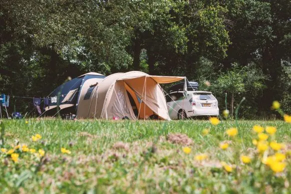 Emplacement - Standard 100-150M² Tente - Camping Village de La Guyonnière