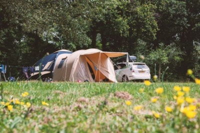 Pitch 100-150m² TENT