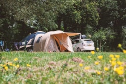 Kampeerplaats(en) - Standplaats - Tent - 100/150M² - Auto Op Standplaats - Camping Village de La Guyonnière