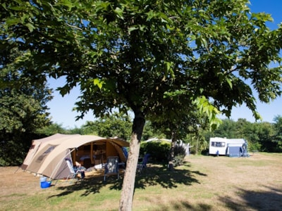Pitch 100-150m² TENT