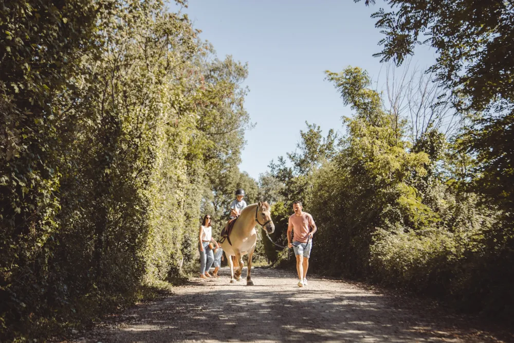 Camping Village de La Guyonnière