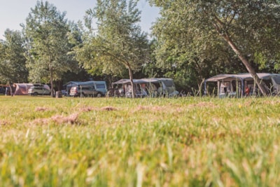 Pitch 160-250m² CARAVAN OR TENT