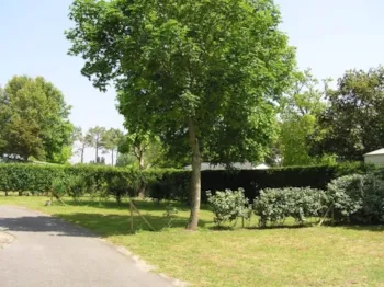 Stellplatz - Stellplatz B : Auto + Zelt + Strom - Camping Paradis Zagarella