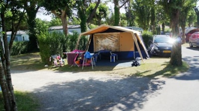 Pitch + electricity 10A + car + tent or caravan — 4