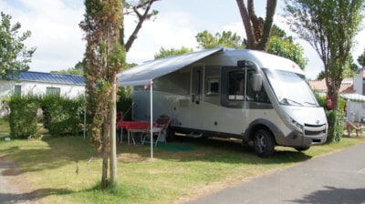 Pitch + electricity 10A + car + tent or caravan — 2