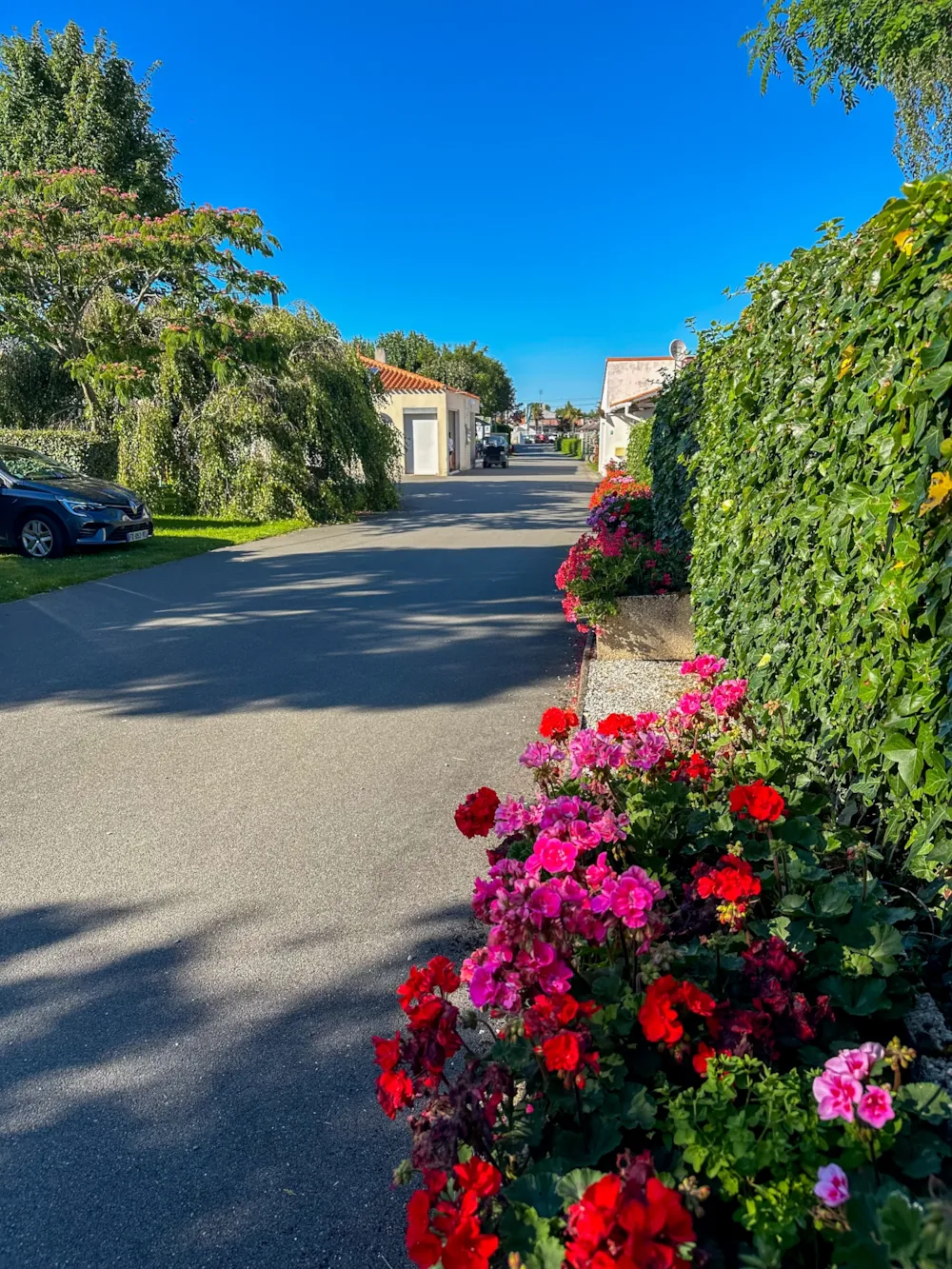 Camping Aux Coeurs Vendéens