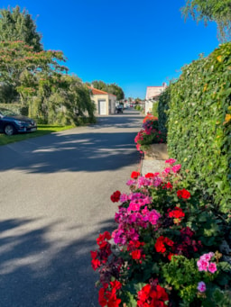 Camping Aux Coeurs Vendéens - image n°10 - Roulottes