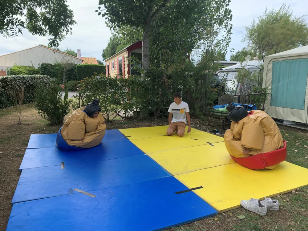 Camping Aux Coeurs Vendéens