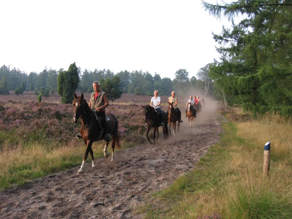 Recreatiepark De Paalberg