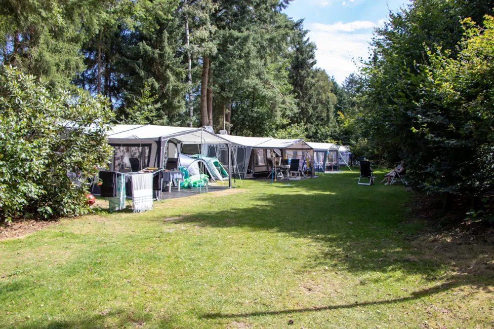 Stellplatz - Stellplatz Basic - Recreatiepark De Paalberg