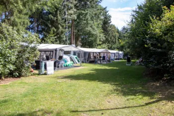 Stellplatz - Stellplatz Basic - Recreatiepark De Paalberg