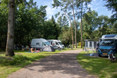 Camper pitch