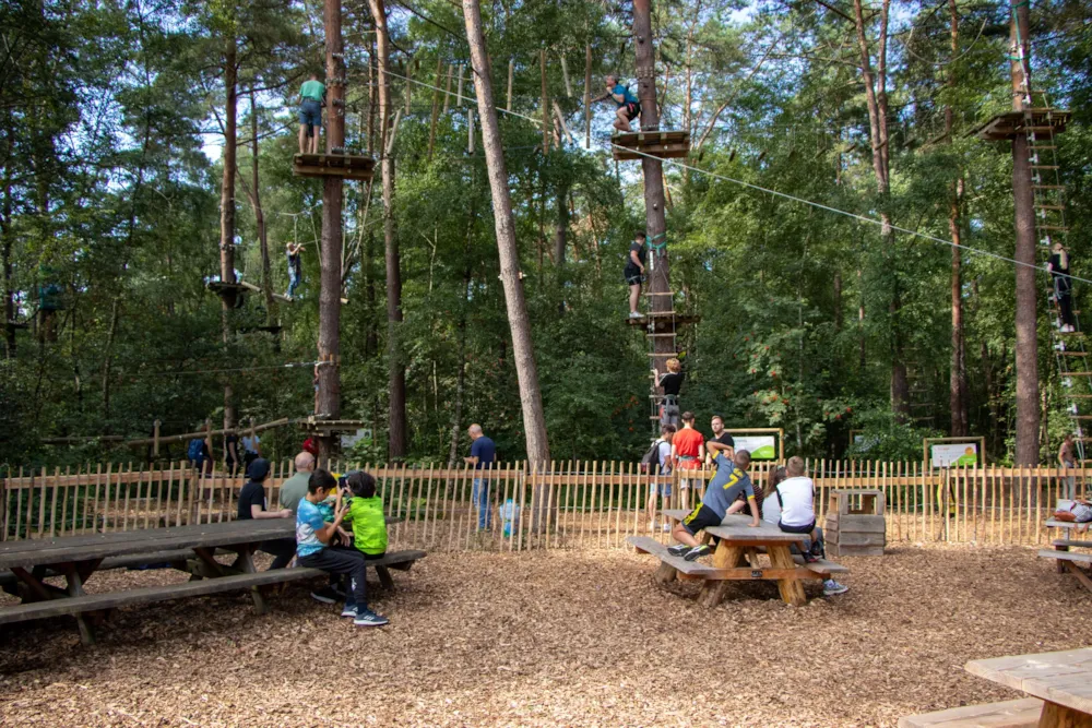 Recreatiepark De Paalberg - image n°7 - Camping Direct