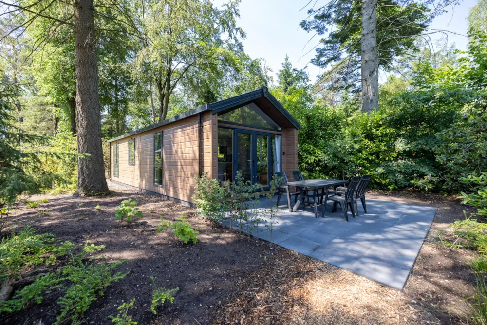 Mietunterkunft - Forest Cottage - Recreatiepark De Paalberg