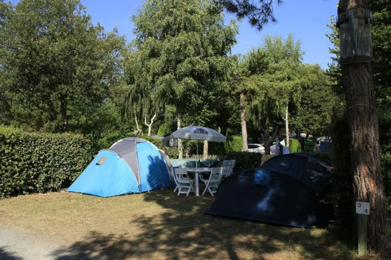 Emplacement Tente  + 1 Voiture + Électricité 10A +Eau