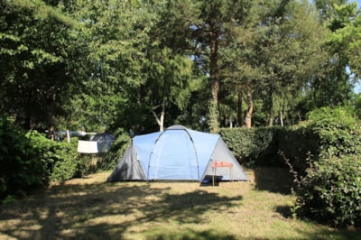 Pitch + 1 car + electricity 10 A +