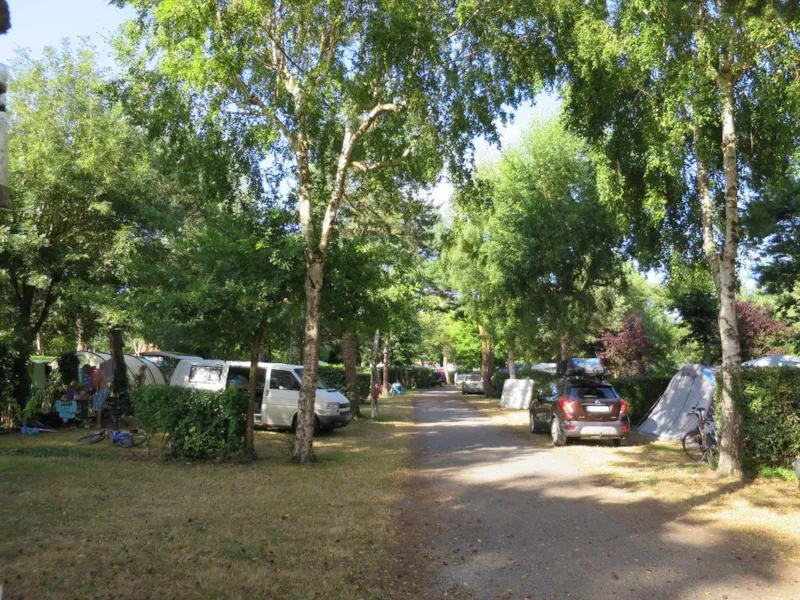 Emplacement Tente  + 1 Voiture + Électricité 10A +Eau