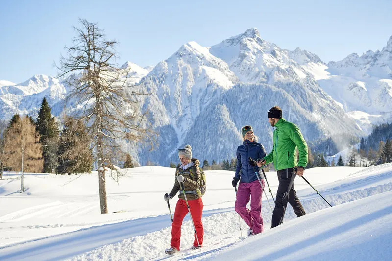 Alpencamping Nenzing