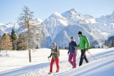 Foto #67 van Alpencamping Nenzing