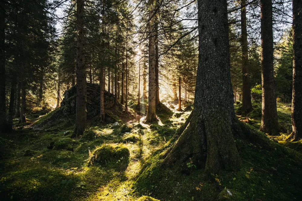 Alpencamping Nenzing