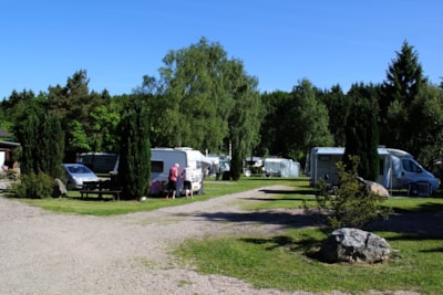 Camping-Mobilheimpark Am Mühlenteich