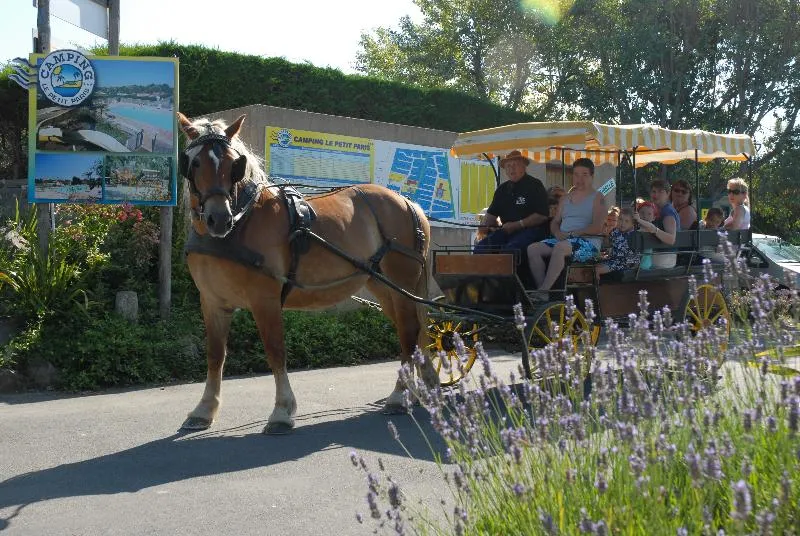 Flower Camping Le Petit Paris