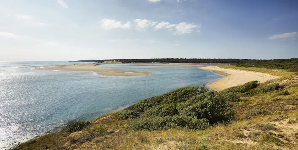 Flower Camping Le Petit Paris