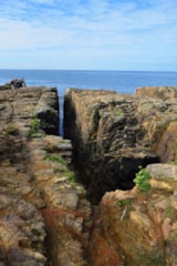 Foto #54 van Flower Camping Le Petit Paris