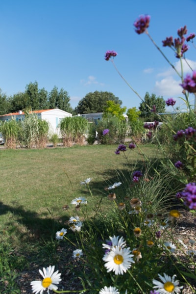 Pitch Trekking Package by foot or by bike with tent