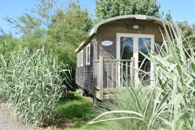 Gypsy caravan 23m² - 2 bedrooms + TV