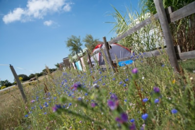Pitch Trekking Package by foot or by bike with tent