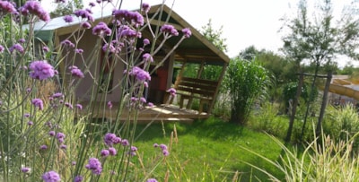 Lodge Confort Freeflower 22m² - 2 bedrooms (without toilet and bathroom)