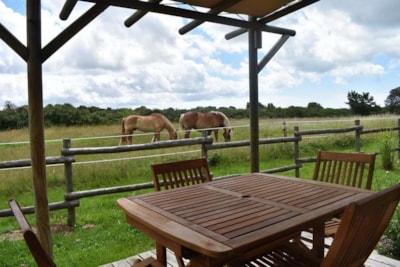 Cottage Premium 32m² - 3 bedrooms + covered terrace + DW + TV + Bed linen + towels