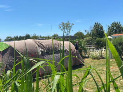 Comfort Package (1 tent, caravan + 1 car  / or motorhome / electricity 10A)