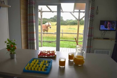 Cottage Premium 32m² - 3 bedrooms + covered terrace + DW + TV + Bed linen + towels