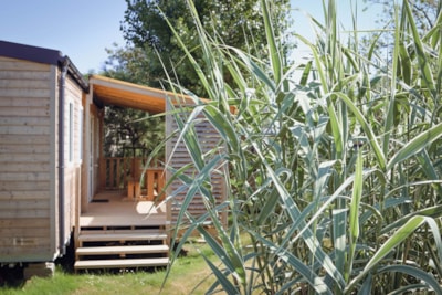 Cottage confort 32m² (2 bedrooms) +  covered terrace + TV + Bed linen included