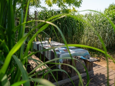 Privilege Package (comfort package + water connection/evacuation + terrace with picnic table. Pitch between 110m² and 130m²) )