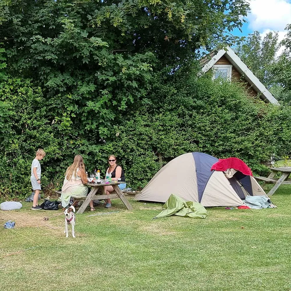 Emplacement - Emplacement Tente, Caravane Et Camping Car - Boeslunde camping