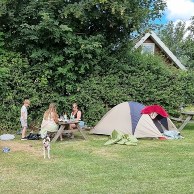 Pitch tent, caravan or motor home incl. electricity — 1