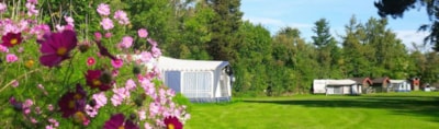 Pitch tent, caravan or motor home incl. electricity — 2